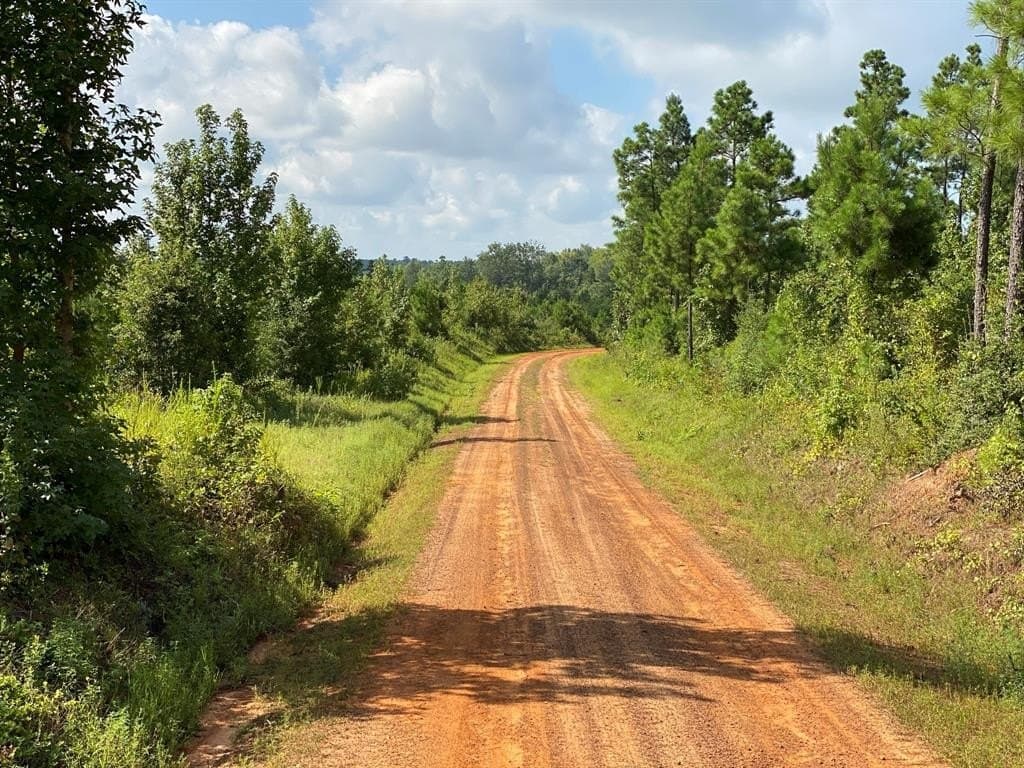 333.85 acres in Rusk County featured view