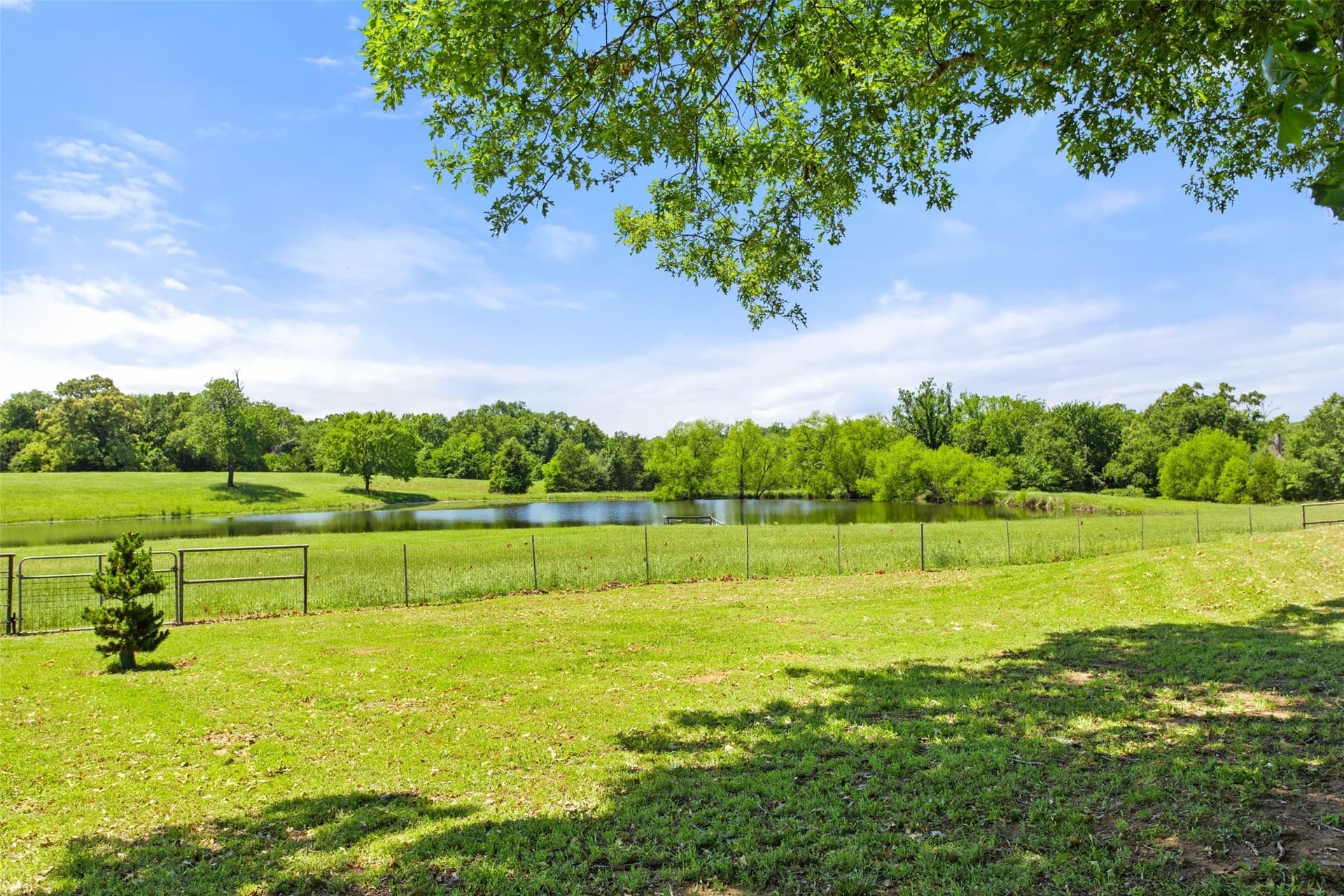 22.76 acres in Rains County - photo 28