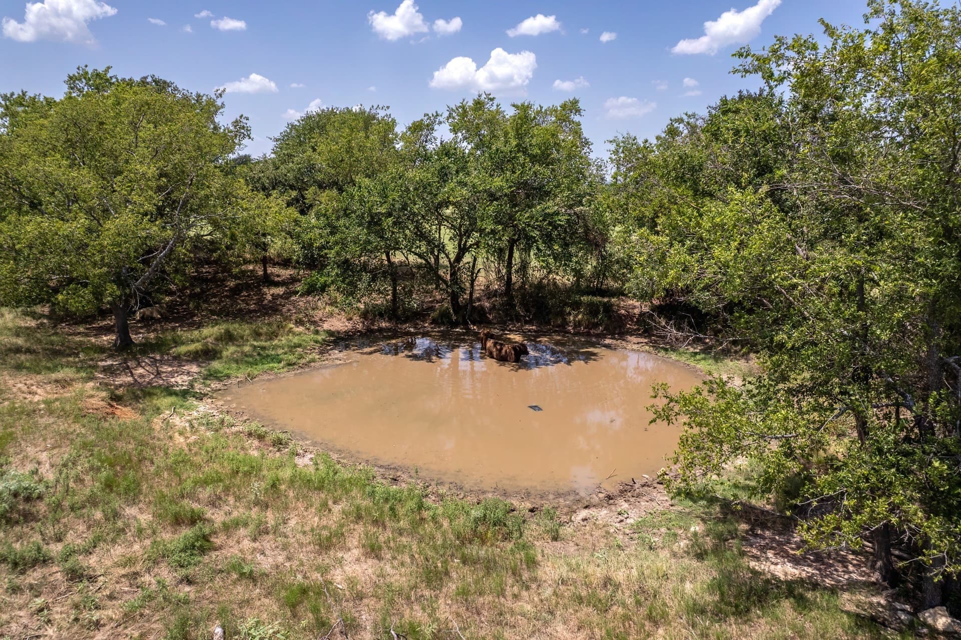 10.1 acres in Erath County gallery image 3