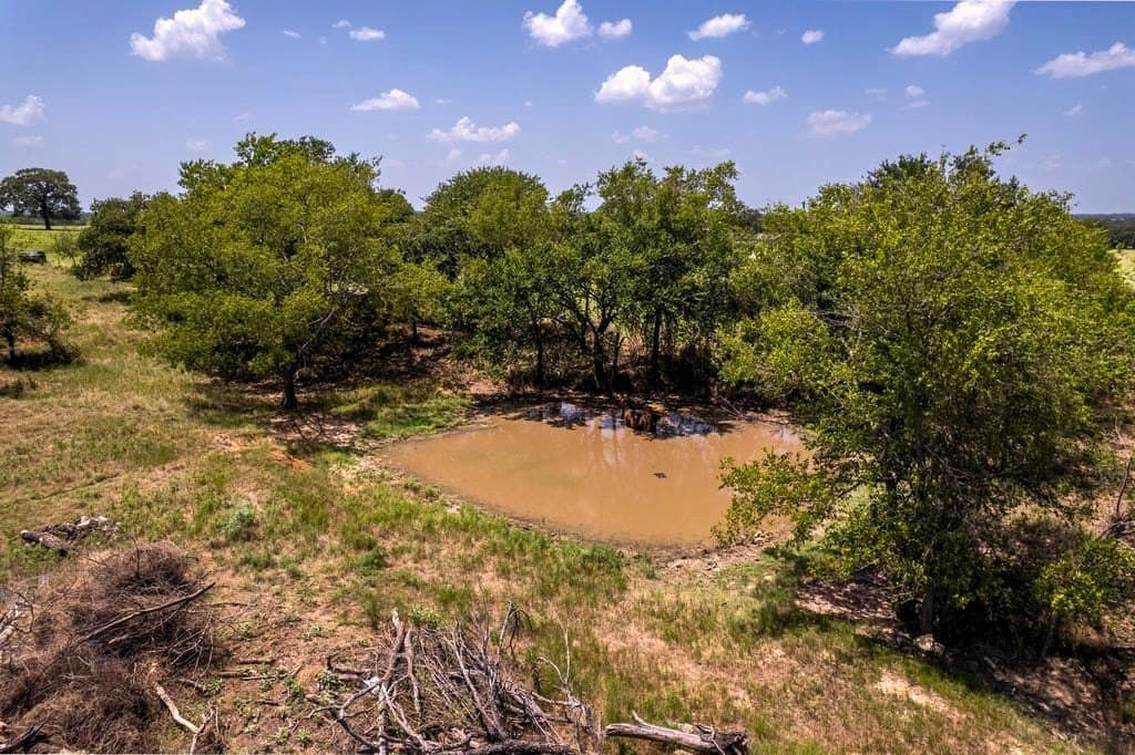 10.1 acres in Erath County gallery image 4