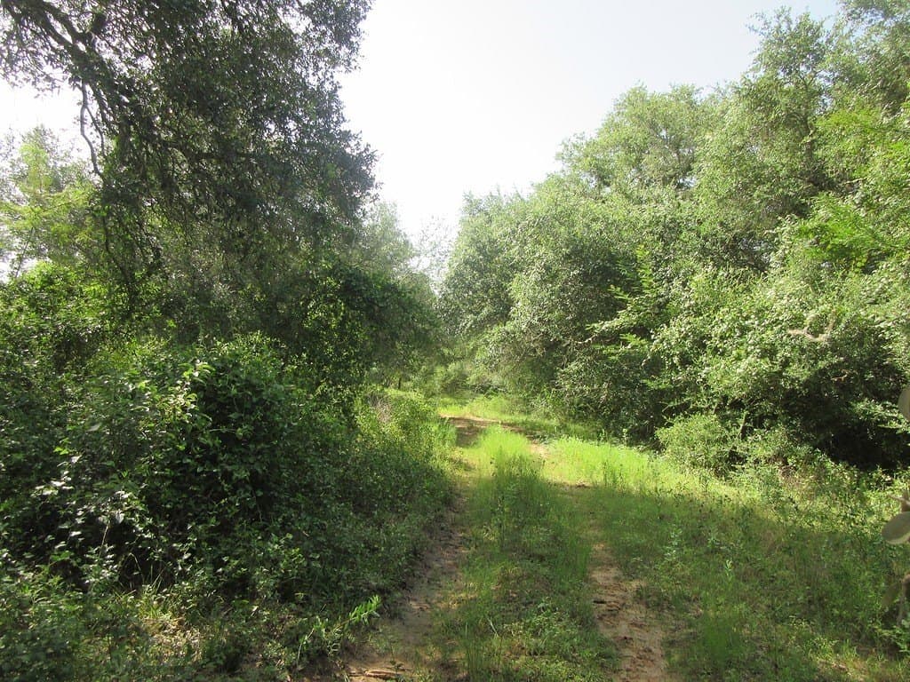 120.39 acres in Washington County - photo 9