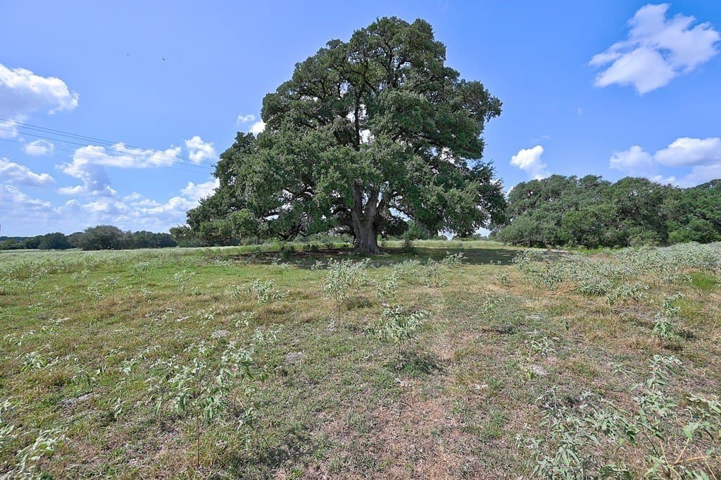 120.39 acres in Washington County - photo 5