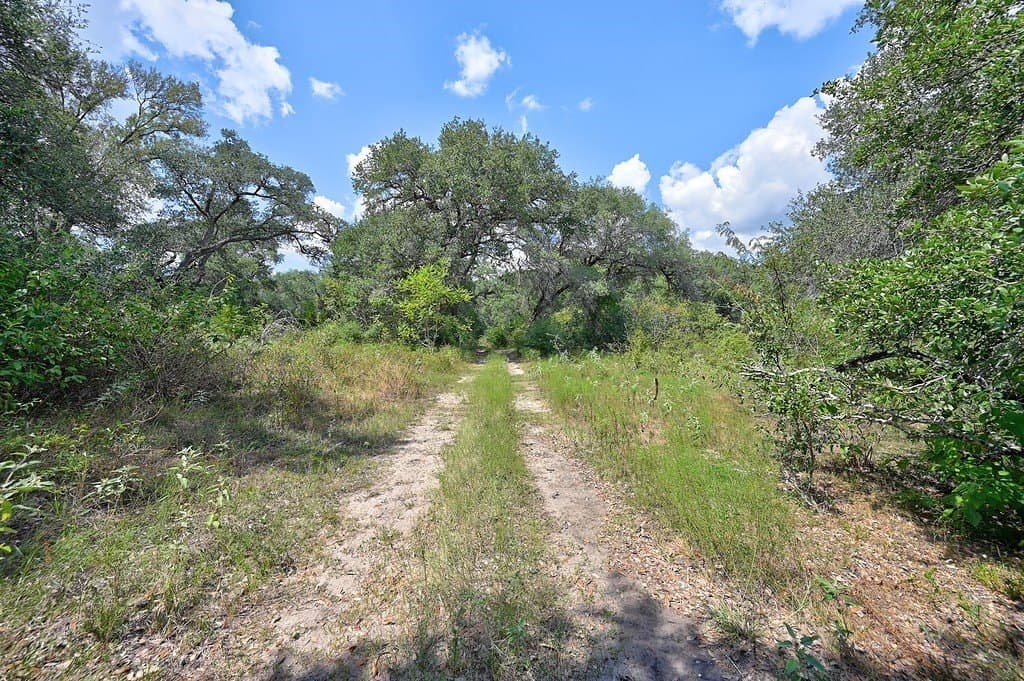 120.39 acres in Washington County - photo 11