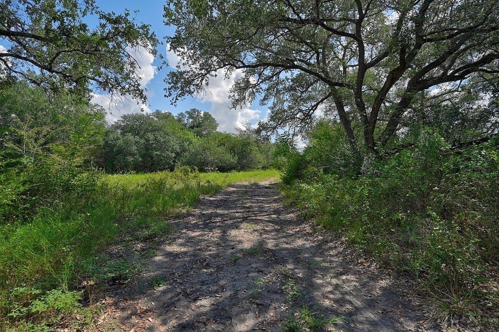 120.39 acres in Washington County - photo 3