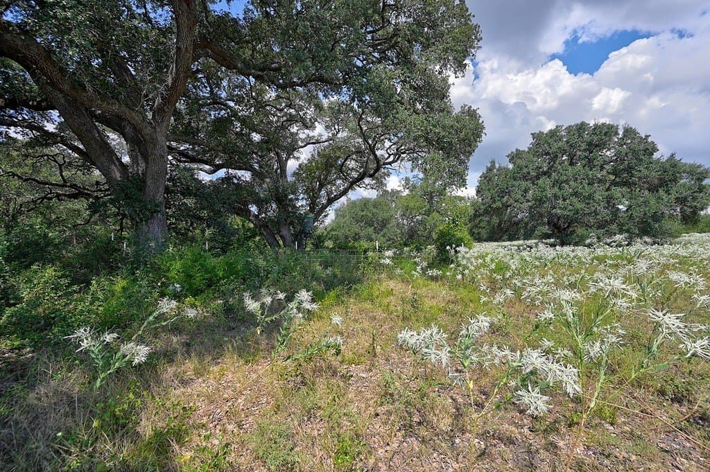 120.39 acres in Washington County - photo 6