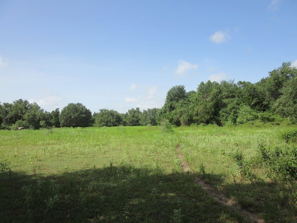 120.39 acres in Washington County - photo 18