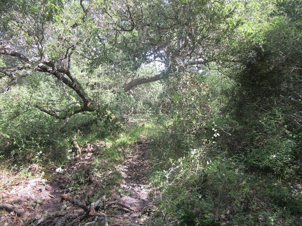 120.39 acres in Washington County - photo 17