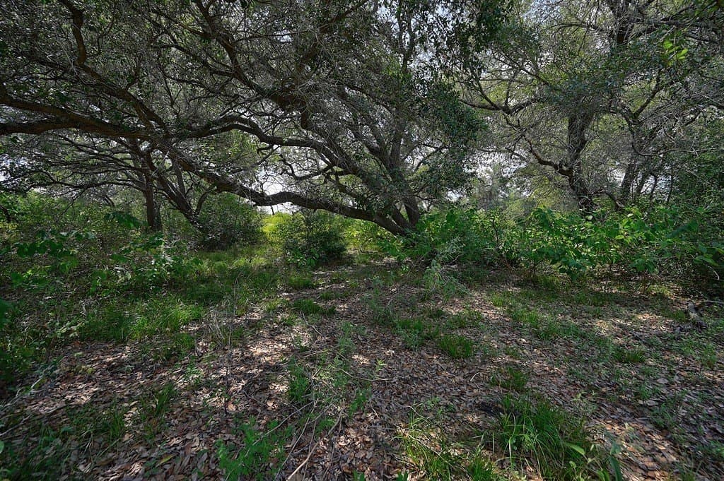120.39 acres in Washington County - photo 4