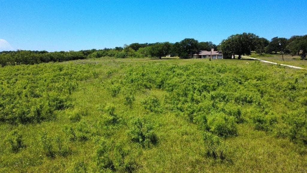 23 acres in Hill County gallery image 4