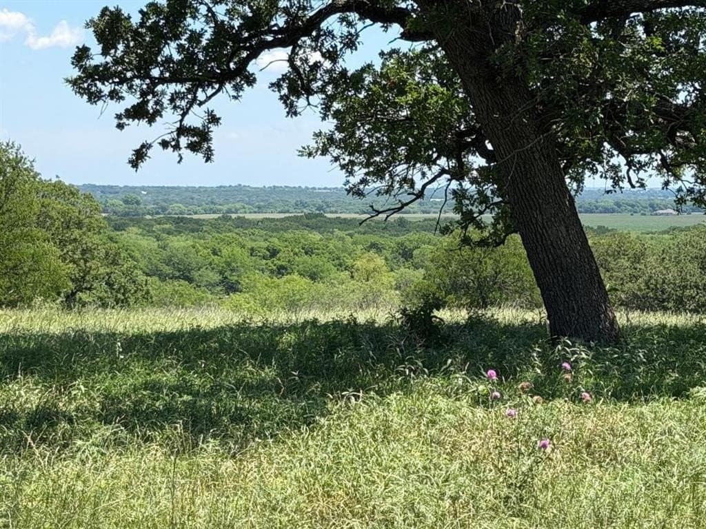23 acres in Hill County gallery image 2