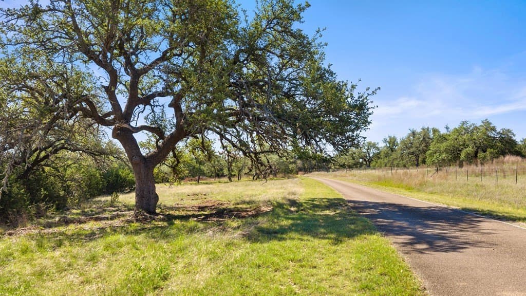 24.26 acres in Hays County - photo 15