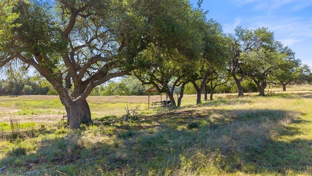 24.26 acres in Hays County - photo 14