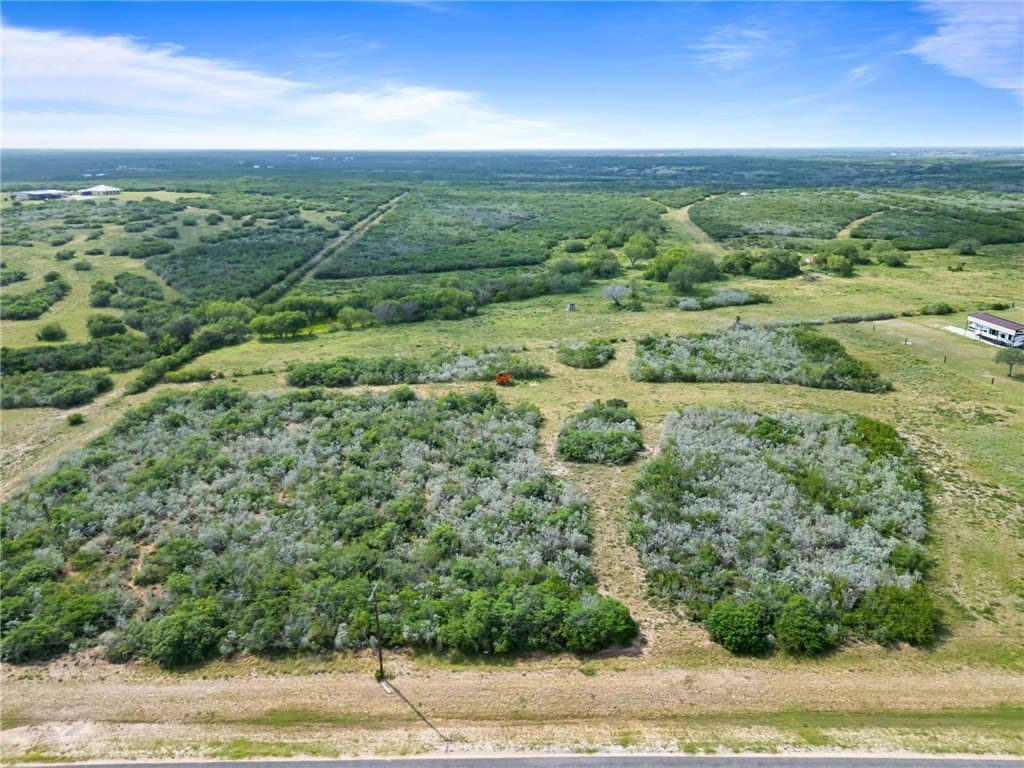 26.24 acres in Jim Wells County gallery image 3