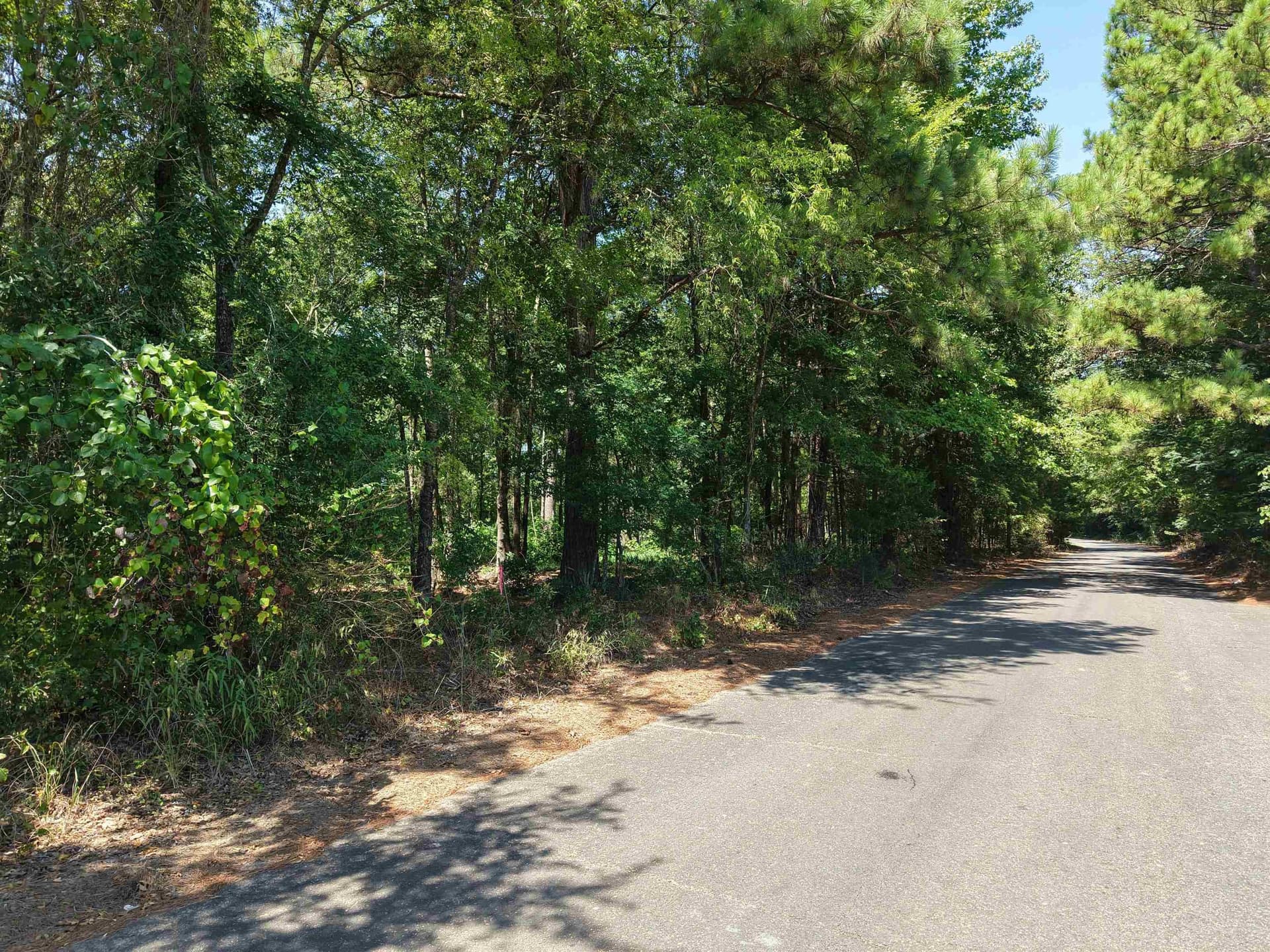 0.72 acres in Texas County