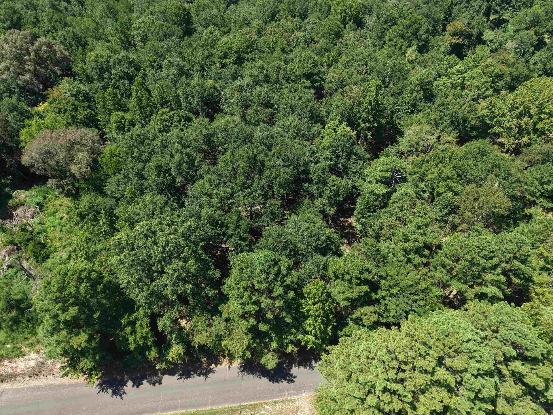 0.72 acres in Texas County - photo 7
