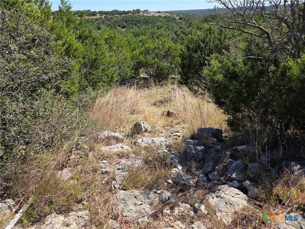 7.51 acres in Burnet County gallery image 3