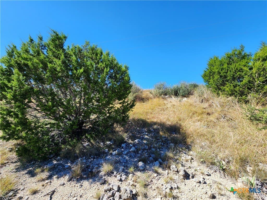 7.51 acres in Burnet County gallery image 4