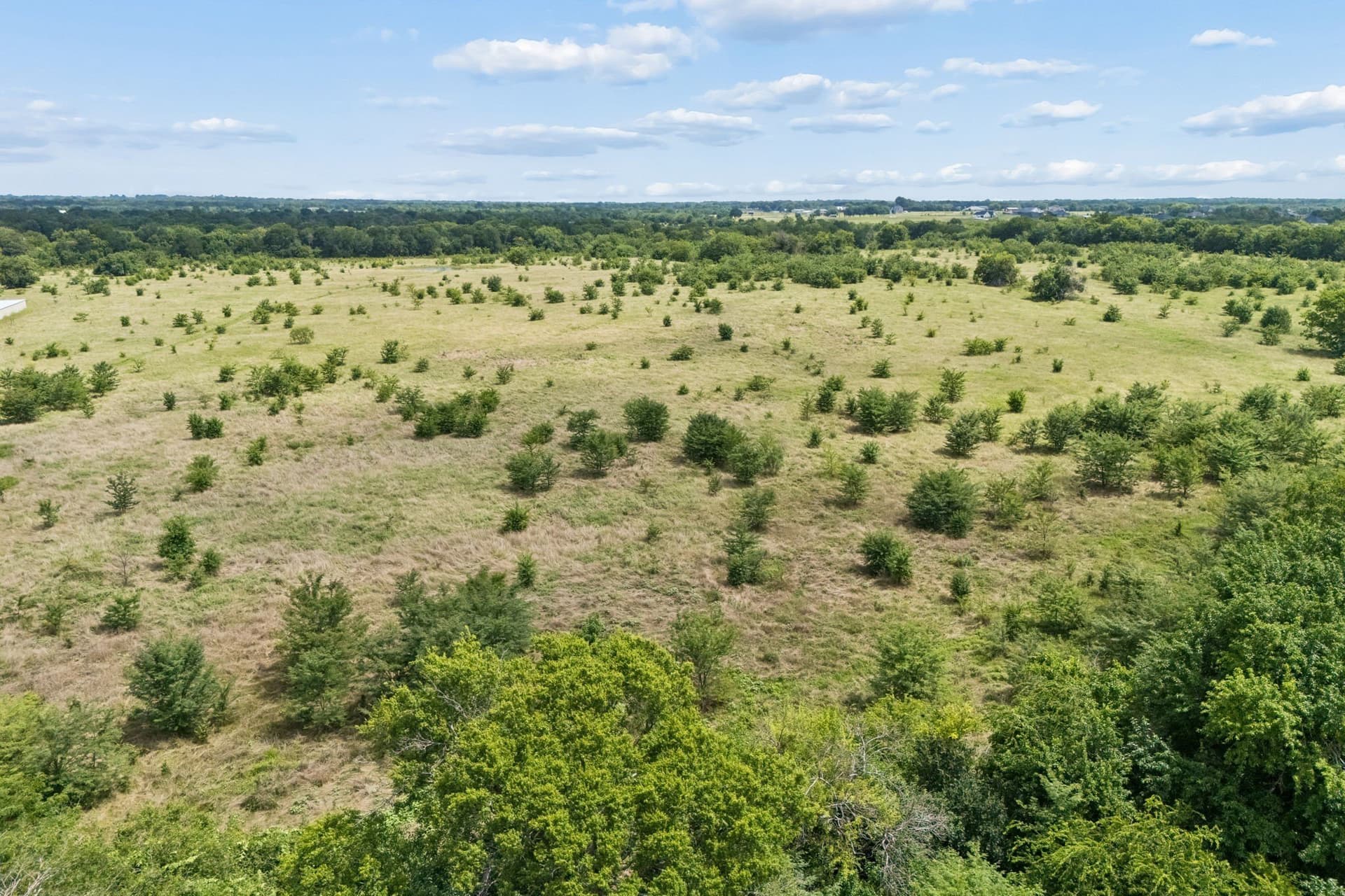 63 acres in Hunt County - photo 12