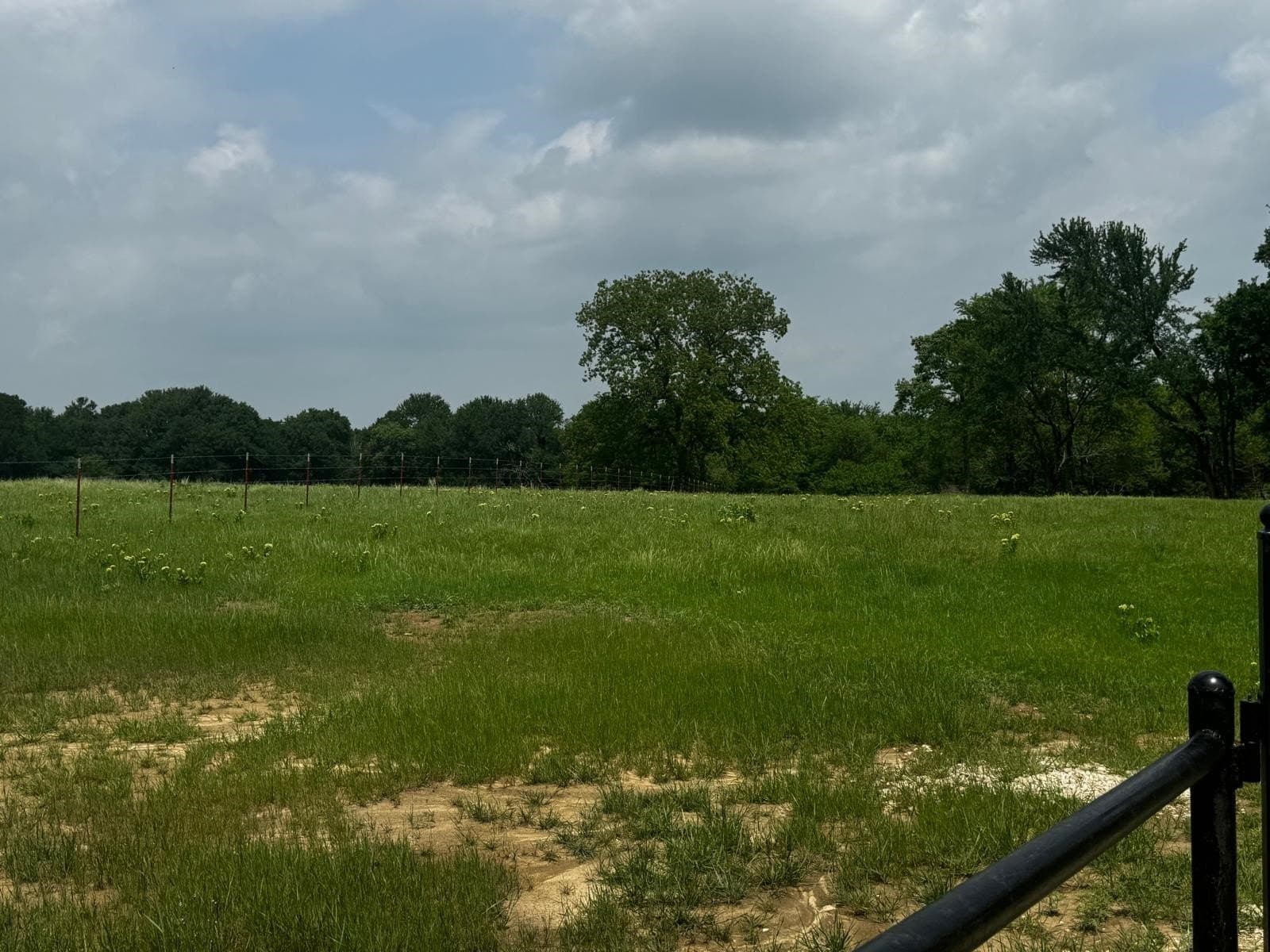 12 acres in Grayson County - photo 4