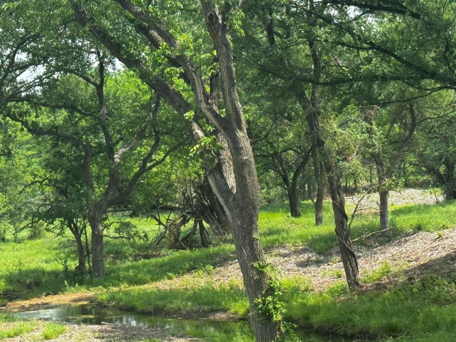 12 acres in Grayson County - photo 5