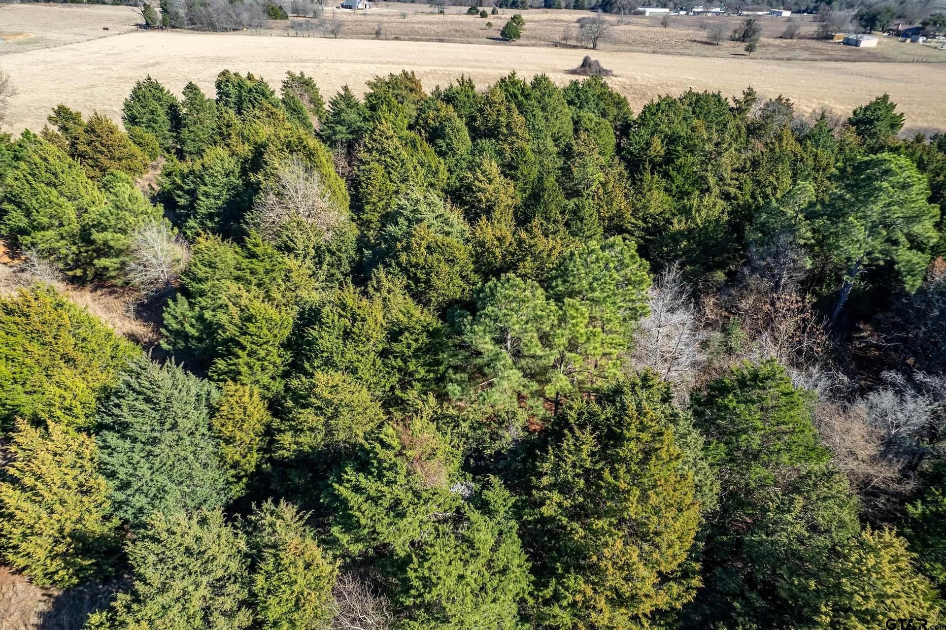 35.5 acres in Van Zandt County - photo 16