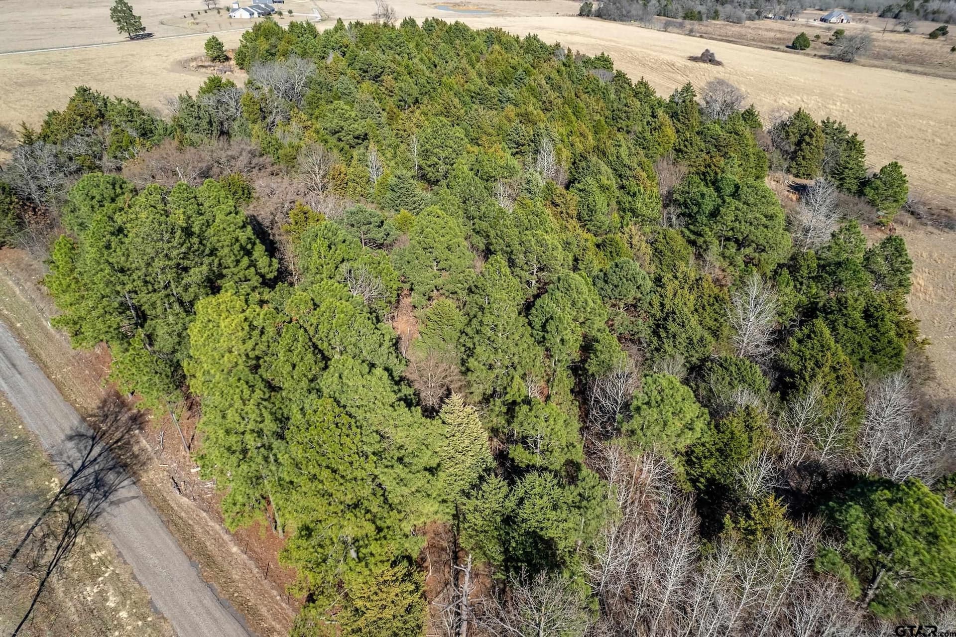 35.5 acres in Van Zandt County - photo 17