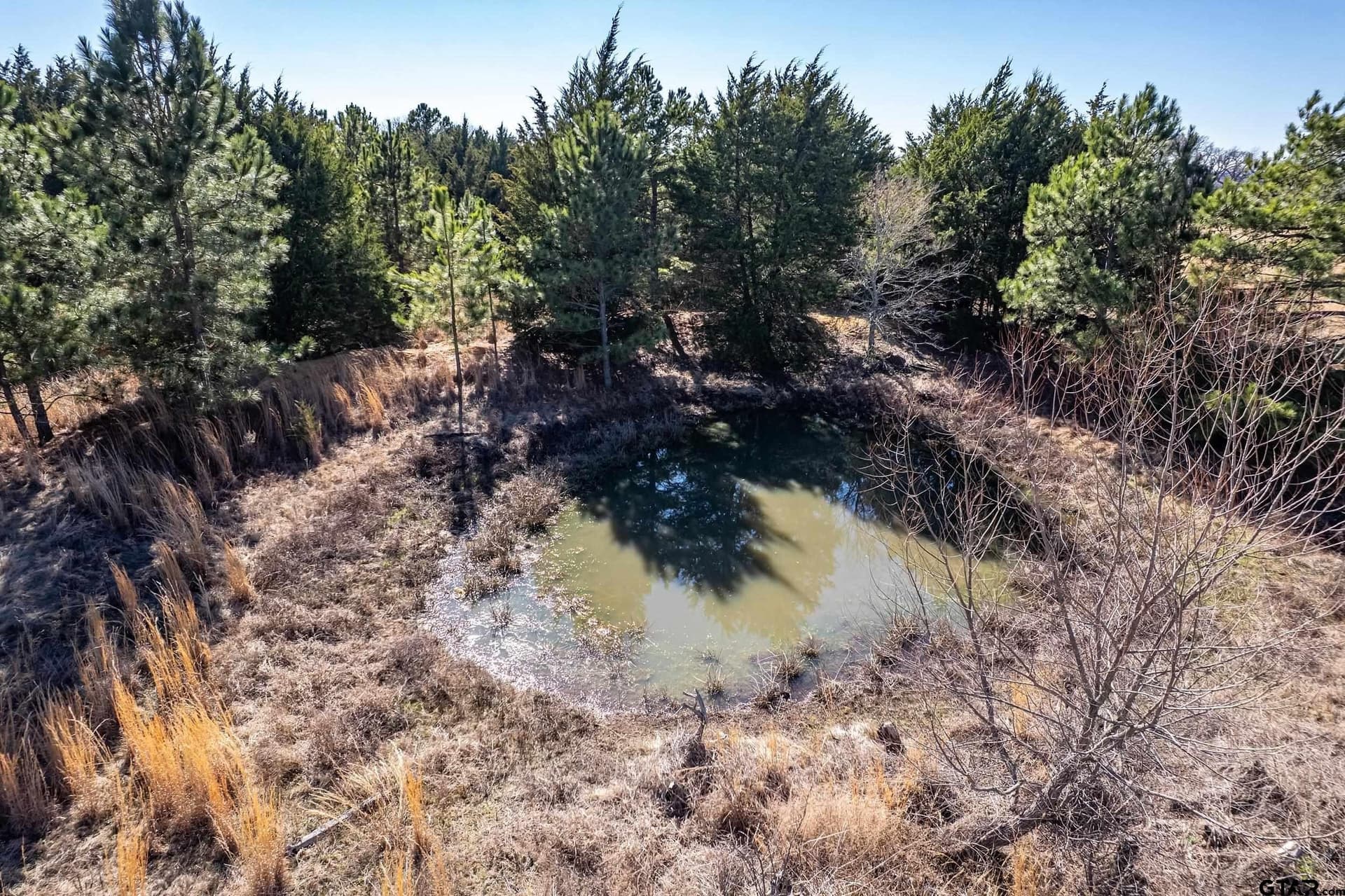 35.5 acres in Van Zandt County - photo 15