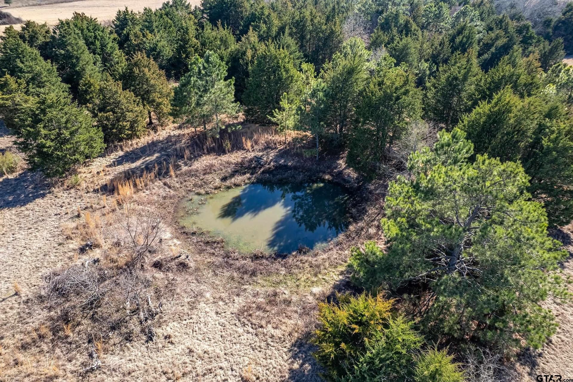 35.5 acres in Van Zandt County - photo 14