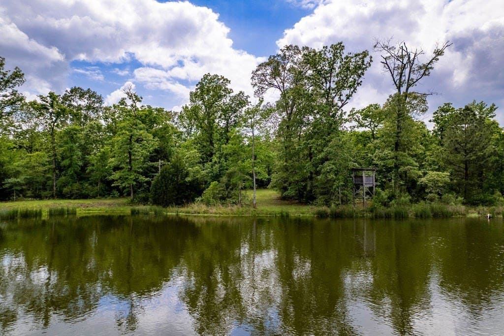 0.75 acres in ANDERSON County - photo 10