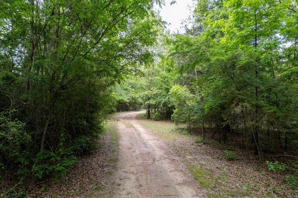 0.75 acres in ANDERSON County featured view