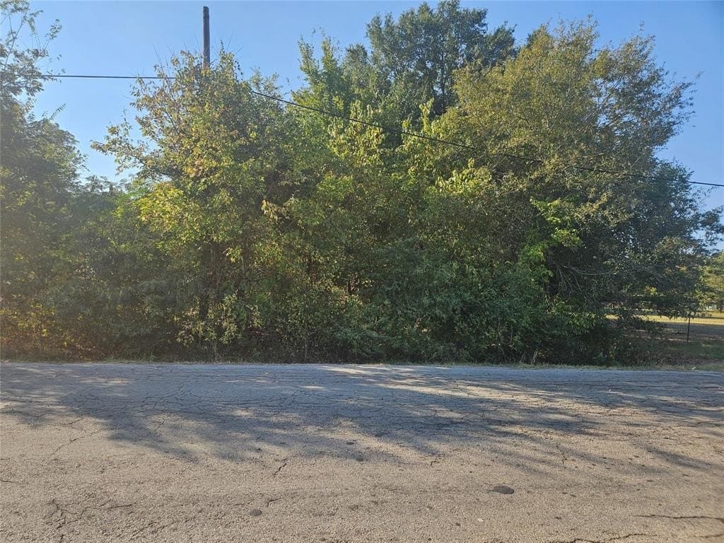 0.14 acres in Lamar County gallery image 3