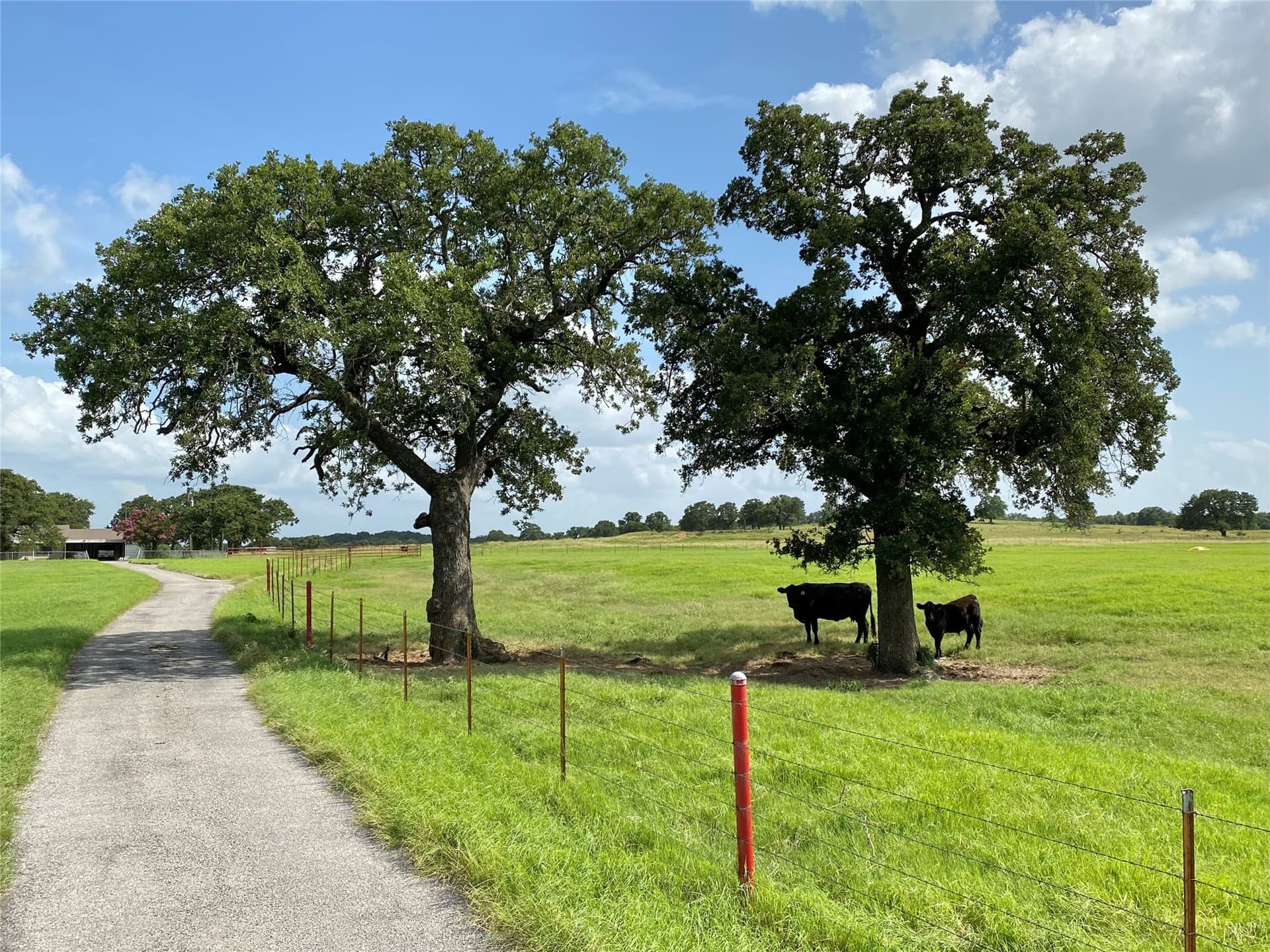 223 acres in Hood County - photo 6