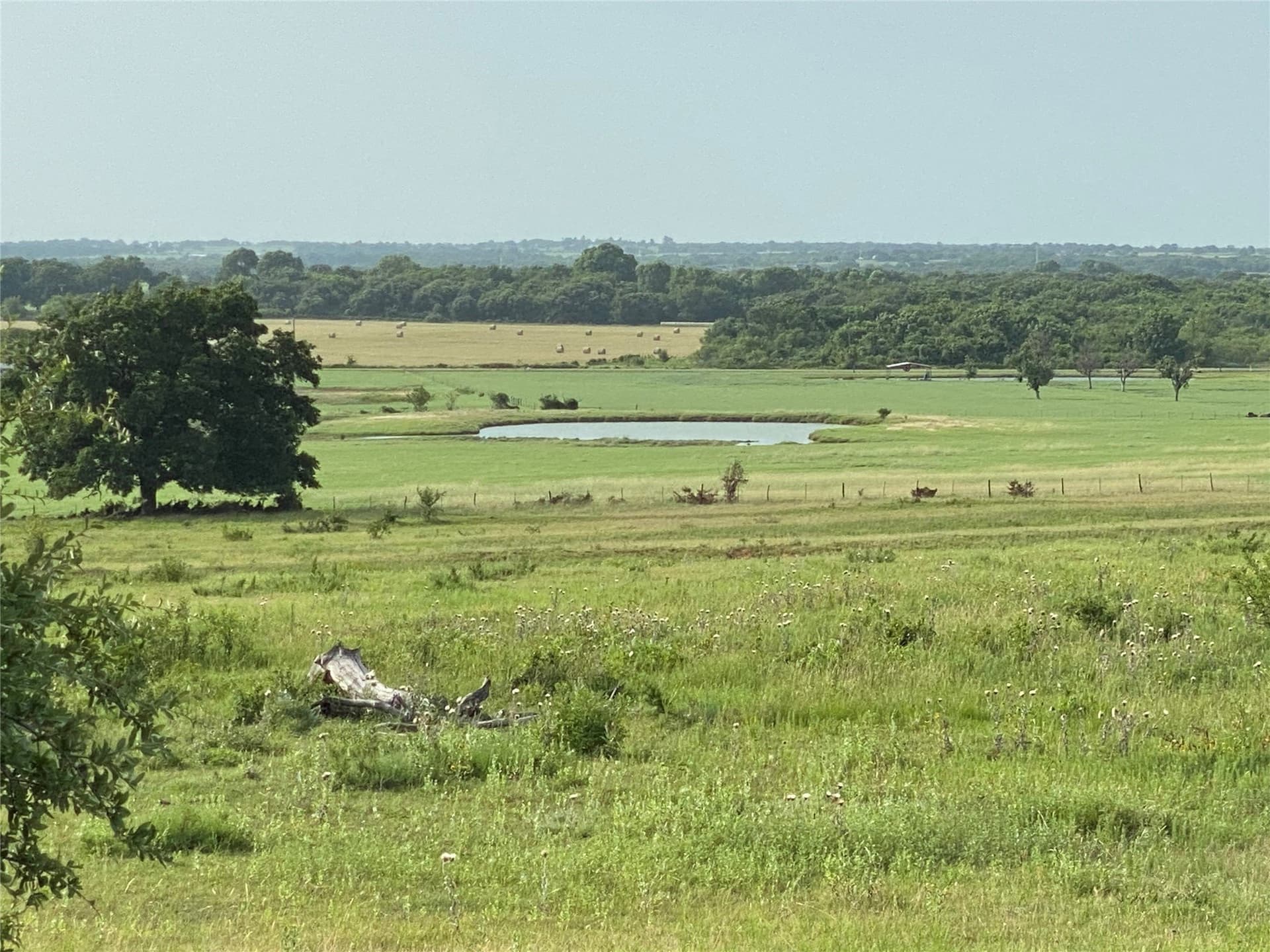 223 acres in Hood County - photo 13