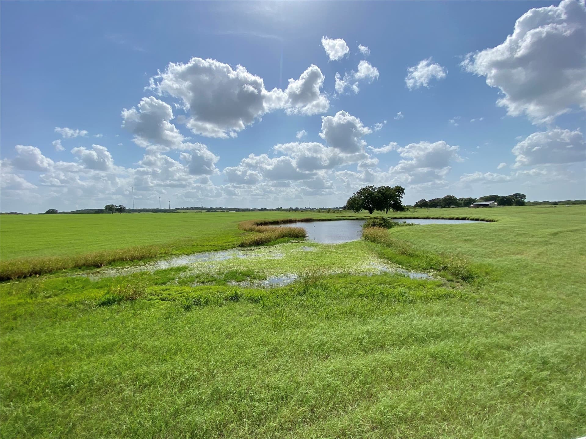 223 acres in Hood County featured view