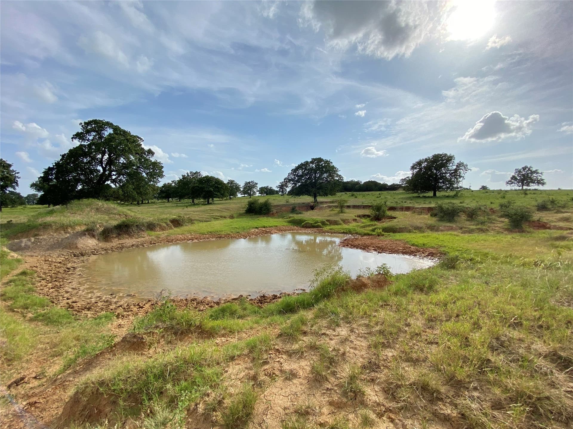 223 acres in Hood County - photo 12