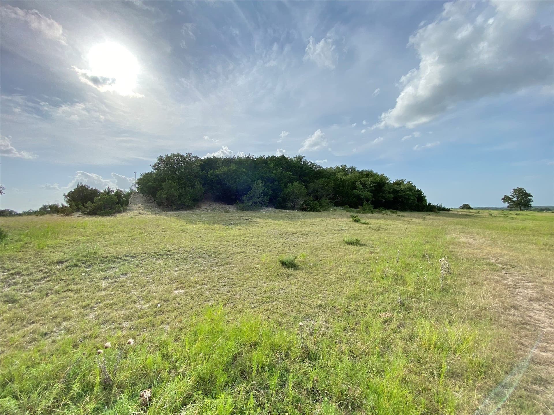 223 acres in Hood County - photo 11