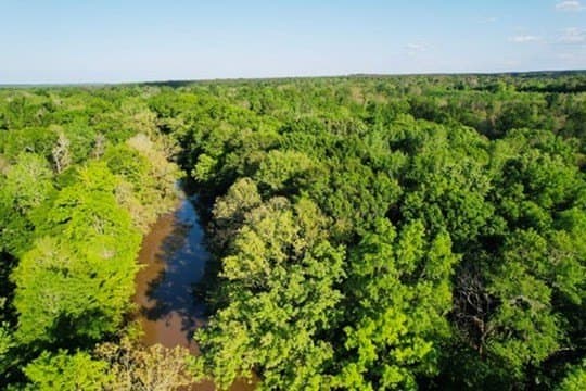 98.33 acres in Texas County - photo 49