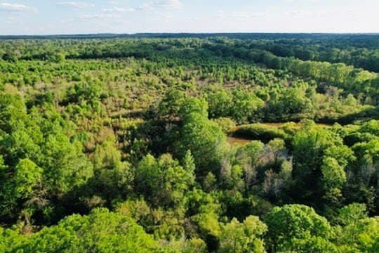 98.33 acres in Texas County - photo 42