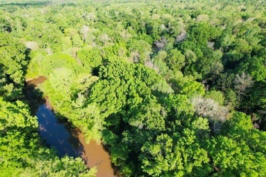98.33 acres in Texas County - photo 10