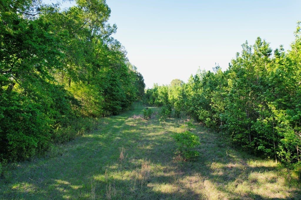 98.33 acres in Texas County - photo 30
