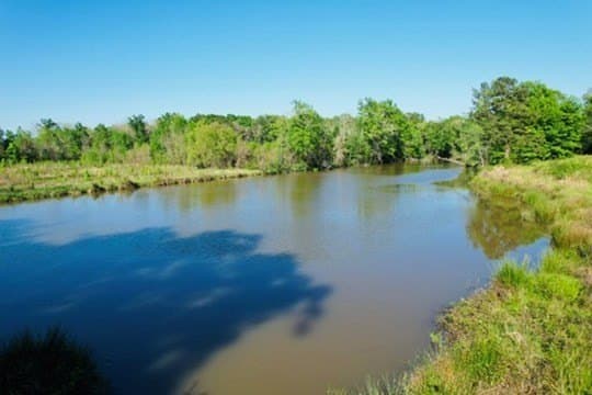 98.33 acres in Texas County - photo 25