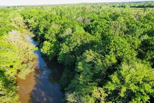 98.33 acres in Texas County - photo 51