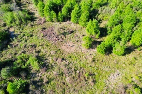 98.33 acres in Texas County - photo 34