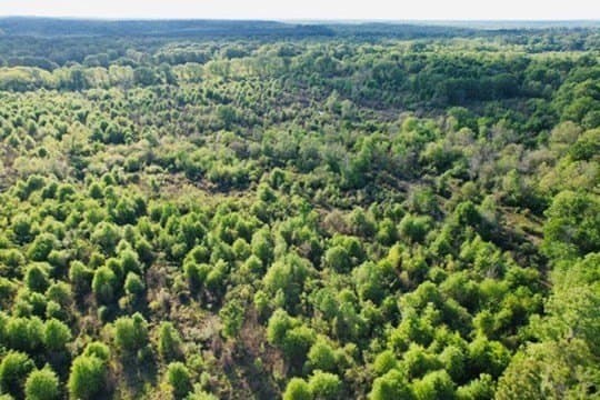 98.33 acres in Texas County - photo 44