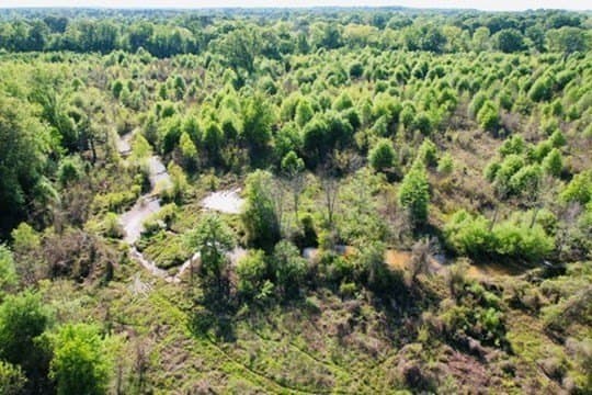 98.33 acres in Texas County - photo 35