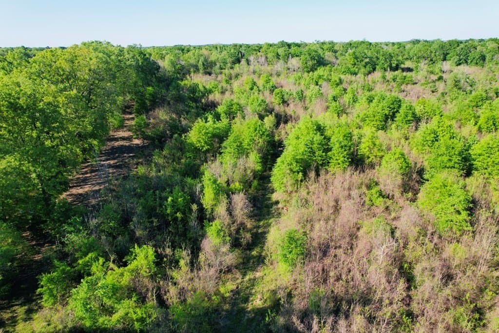 98.33 acres in Texas County - photo 32