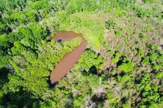 98.33 acres in Texas County - photo 6