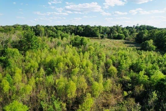 98.33 acres in Texas County - photo 37