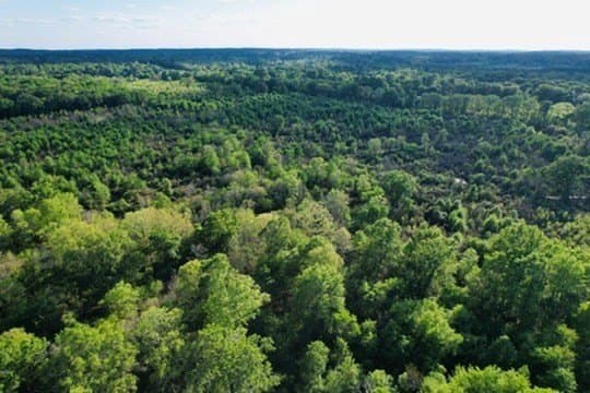 98.33 acres in Texas County - photo 43
