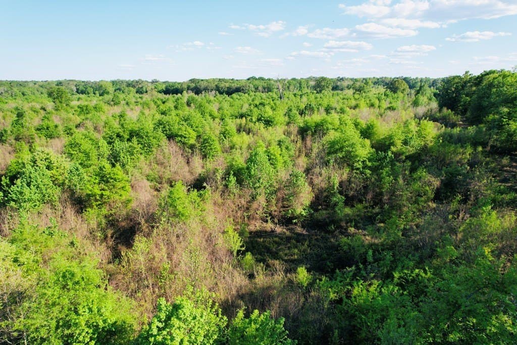 98.33 acres in Texas County - photo 38